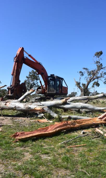 Protesters rally as tree clearing resumes