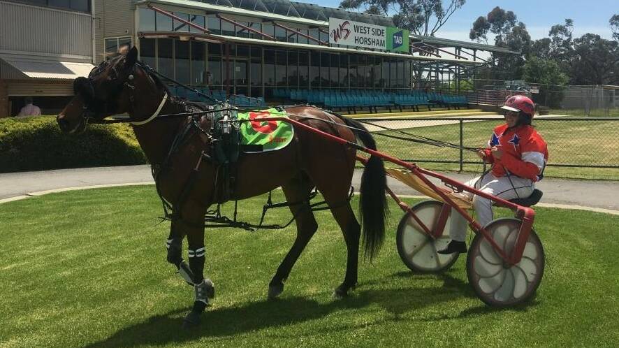 Concongella owned and trained 8yo gelding Kempseys Delight and driver Denbeigh Wade after saluting the judge at Horsham recently. The combo has drawn barrier ten in the 8th event at Ararat tonight.