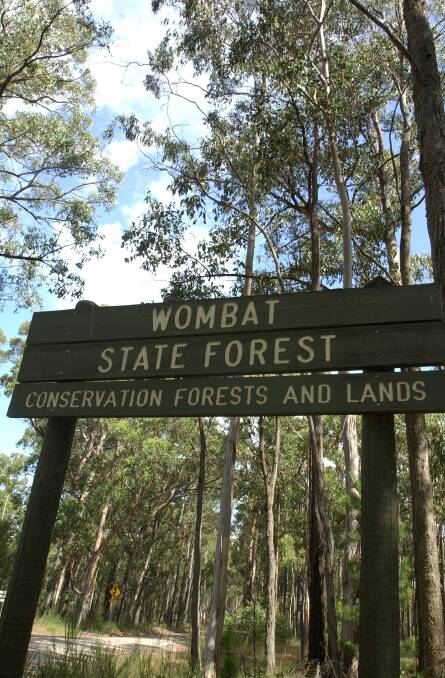 Public views divided on Wombat Forest review