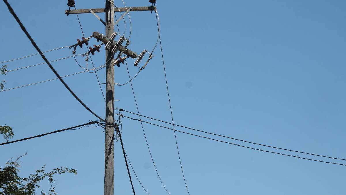 Bird strikes powerline to cause widespread outage