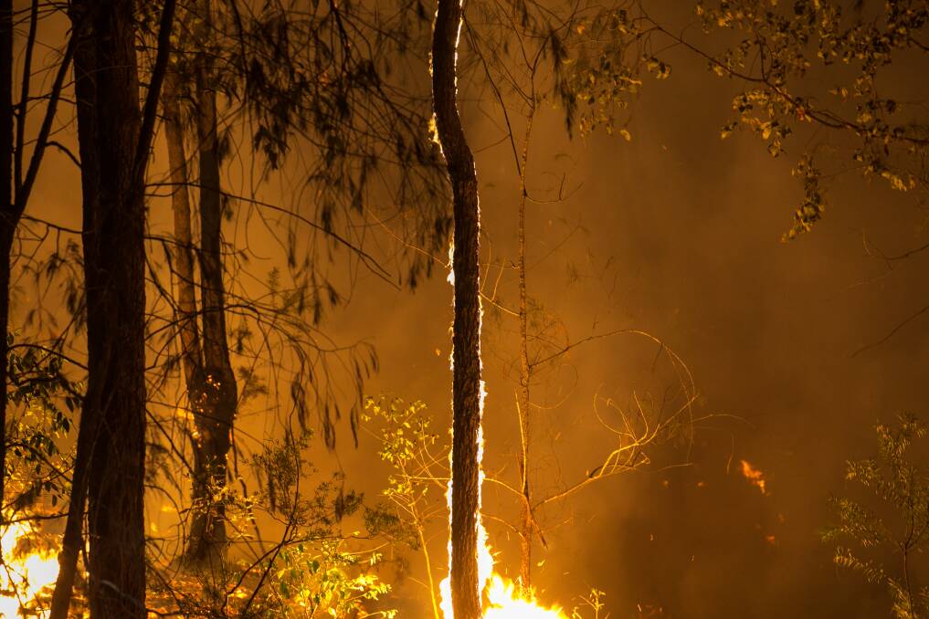 The October blazes that tore through bushland around Martinsville. Picture: Marina Neil