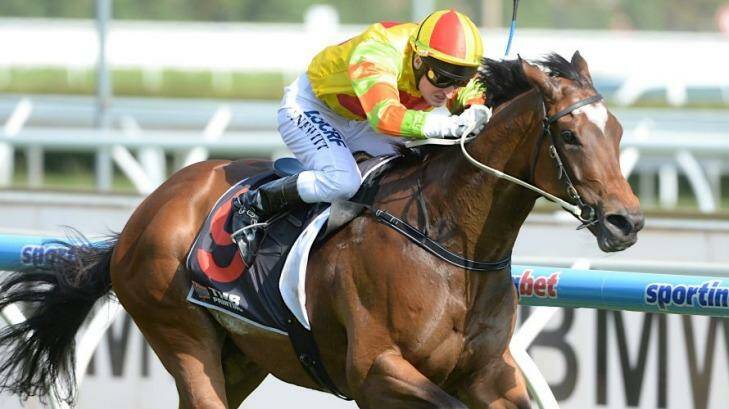 Inside running: Lankan Rupee, seen here winning at Caulfield, has drawn the  rails in the T.J.Smith Stakes.  Photo: Pat Scala