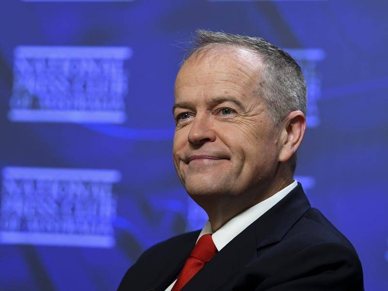 "I think that Anthony Albanese can win the next election," former Labor leader Bill Shorten says.