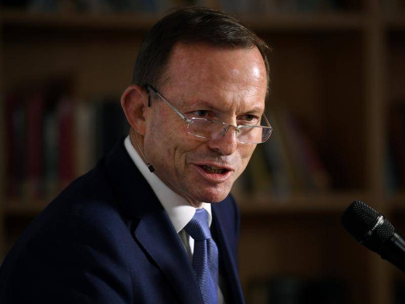 Tony Abbott will be given free rein in his job as special envoy for indigenous affairs, the PM says.