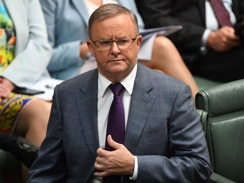 Labor leader Anthony Albanese says Australia could still be exporting coal in 2050.