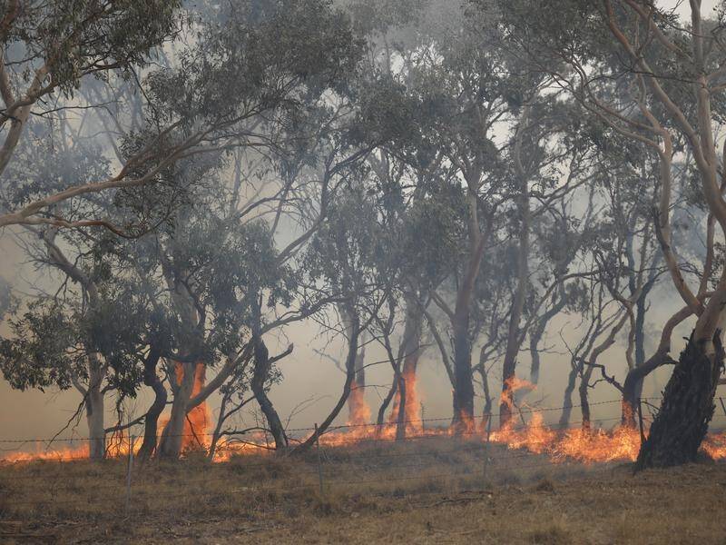 Researchers will study the impact of bushfire smoke exposure and the mental toll on communities.