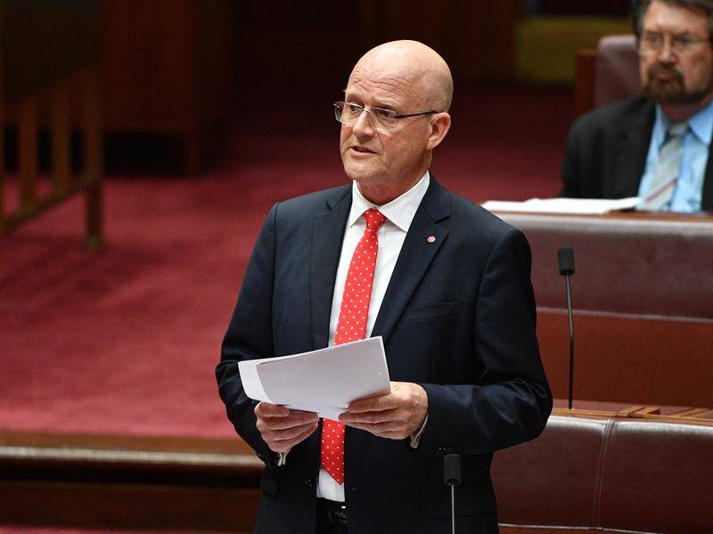 Liberal Democrat David Leyonhjelm has defended tobacco smugglers in a speech in the Senate.