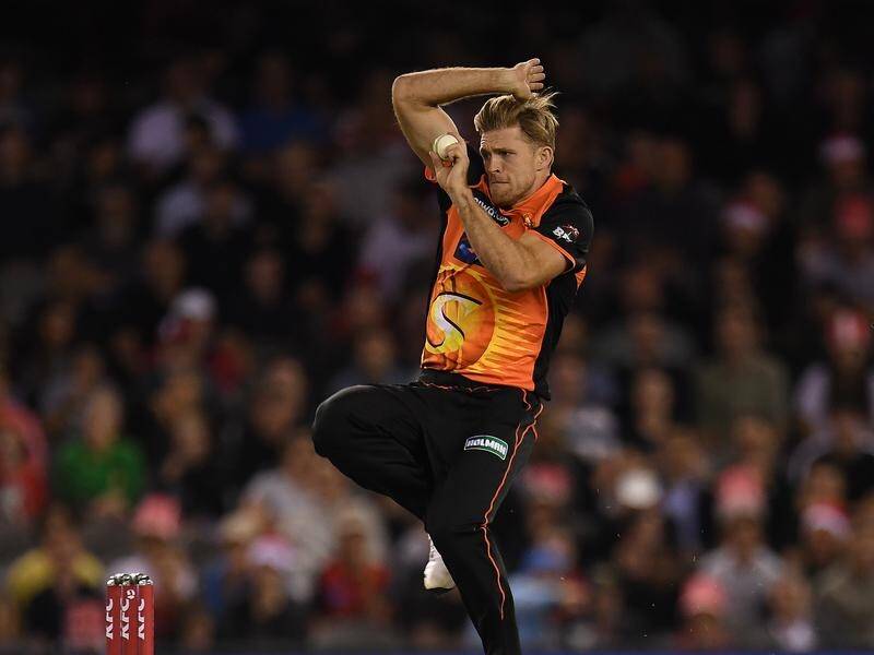 Allrounder David Willey leaves the Scorchers to prepare for England's ODI series v the Windies.