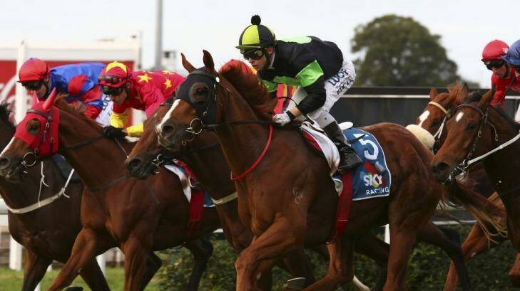 Great Moments: Sir Moments (nearest camera) wins the Queensland Guineas at Eagle Farm on Saturday. Photo: Tertius Pickard