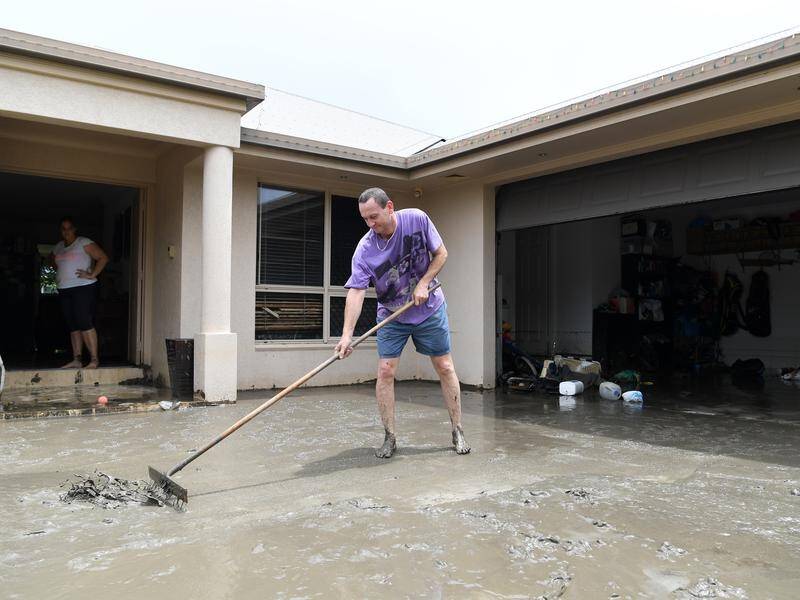 Steve Knight cleans mud from his front yard after his house was flooded in a Townsville suburb.