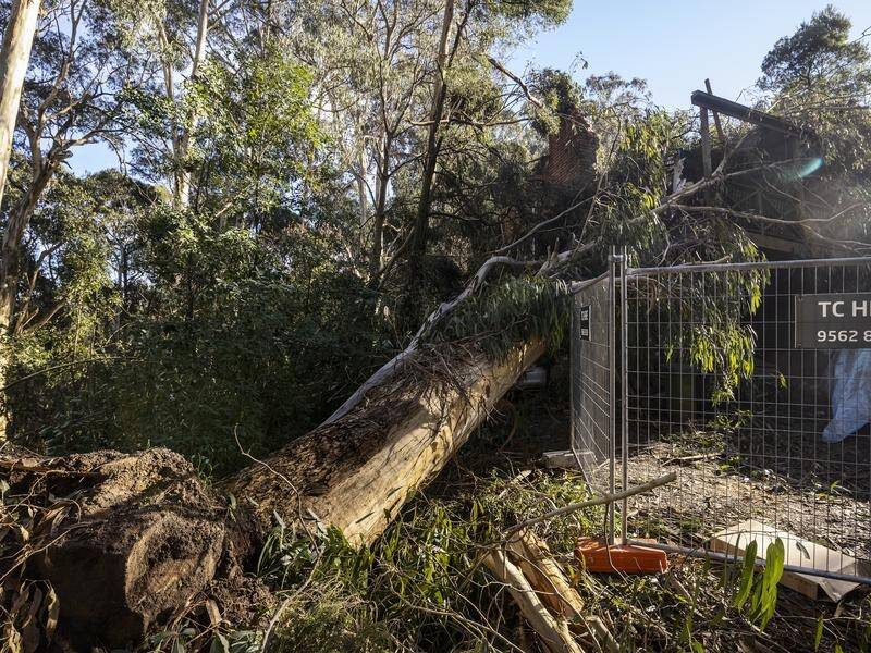 Some 7000 households remain without power in Victoria, with some facing weeks off the grid.