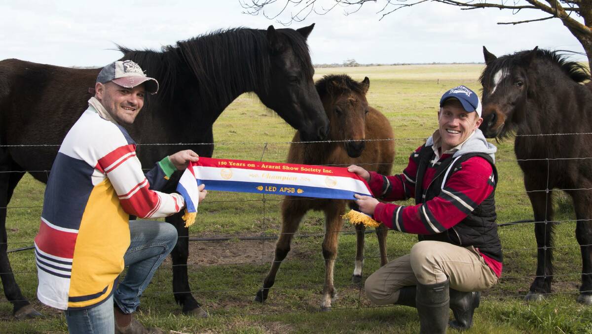 STEPPING UP: Darren Madden and Daniel Taylor will organise this year's equestrian events at the Ararat Show. Picture: CONTRIBUTED