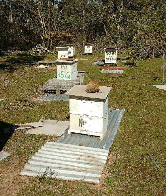 UNSOLVED CASE: The missing hives are white boxes with identity numbers spray painted on them. Picture: CONTRIBUTED 