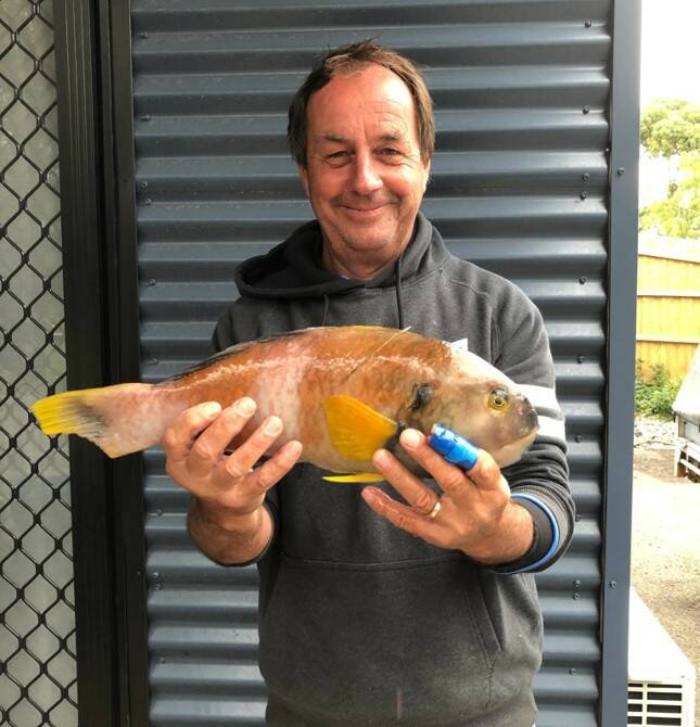 CATCH: Gavin Keilars pictured with his Wrasse.