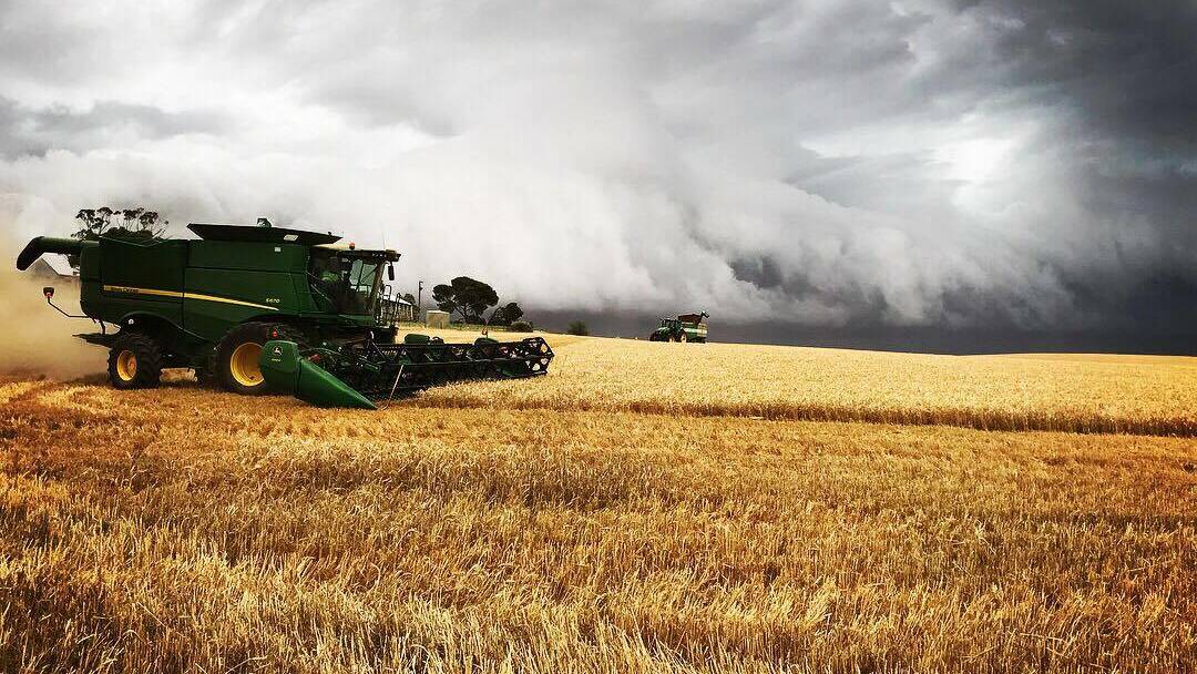 Farmers watch the sky as harvesting begins and rain forecast for the weekend. File pic
