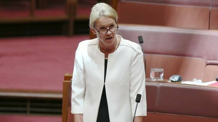 Labor says Assistant Health Minister Fiona Nash needs to give a full account of the decision to axe funding from the Alcohol and other Drugs Council of Australia. Photo: Alex Ellinghausen