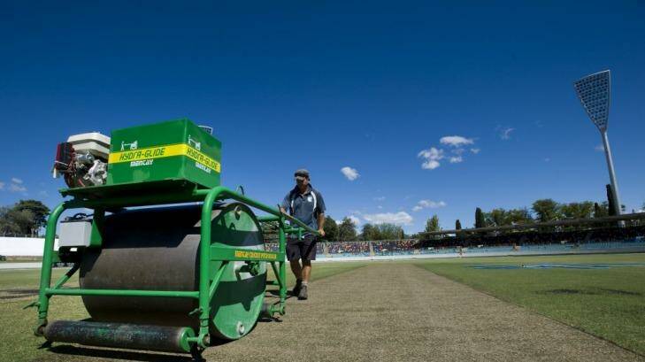 On a roll: Manuka Oval curator puts the roller over the pitch on Tuesday. Photo: Elesa Kurtz
