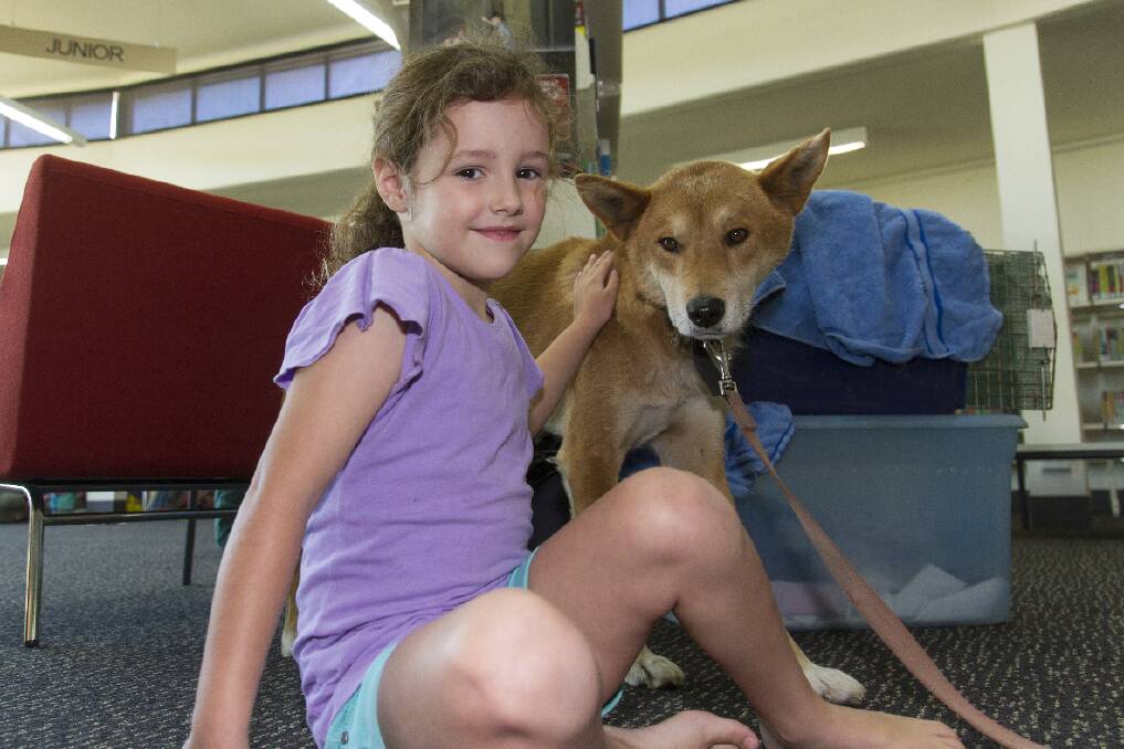 Rhiannan makes friends with Dewey at the library. Pictures: PETER PICKERING