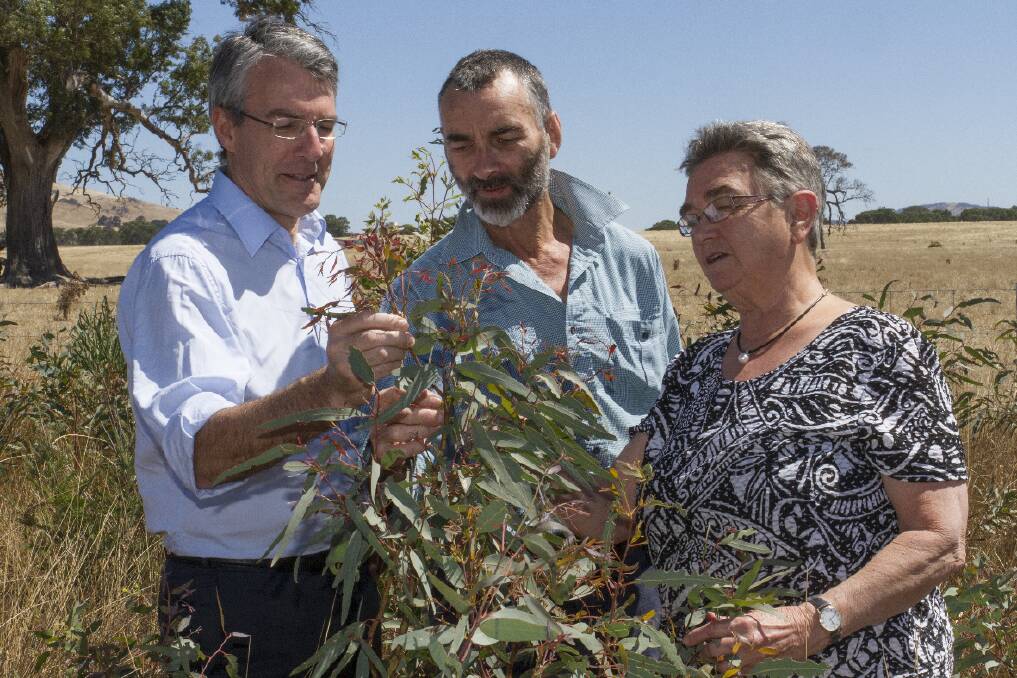 Parliamentary Secretary for Climate Change and Energy Efficiency Mark Dreyfus inspects plantings by Peter and Christine Forster.